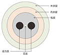 60微米保偏光纖